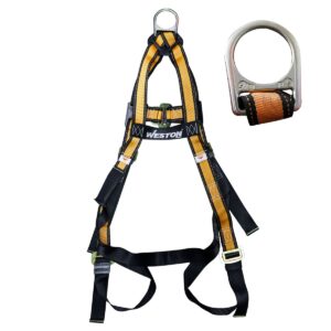 ARNES NYLON 1 ARG (ESPALDA) - Image 3